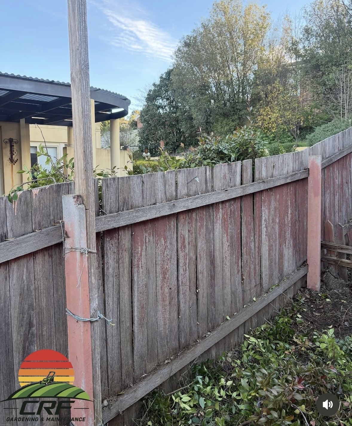 After — the same fence line cleared with a tidy garden bed
