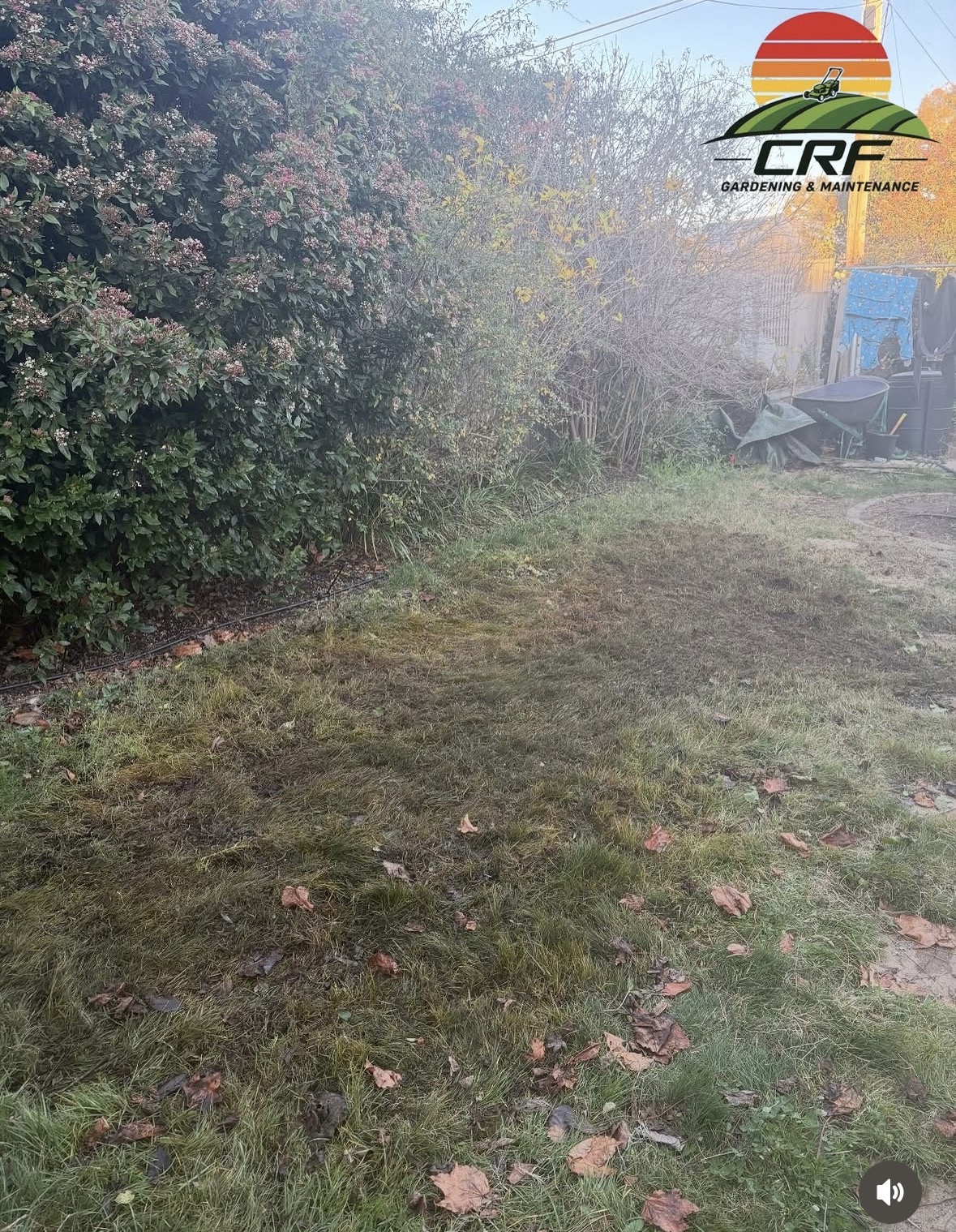 After — the lawn area after mowing