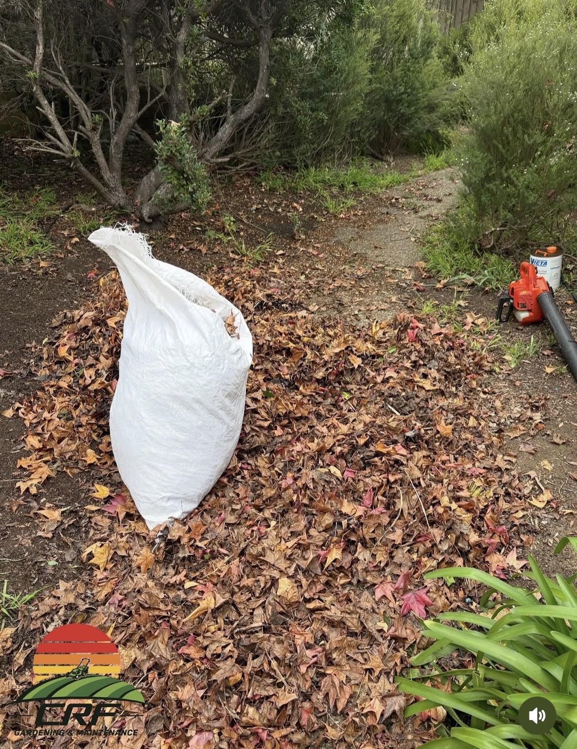 Before — a garden path buried under fallen leaves