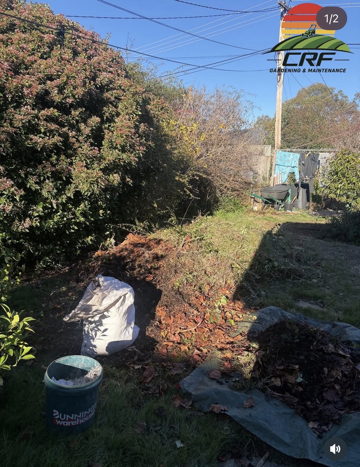 Before — the lawn buried under piled garden waste